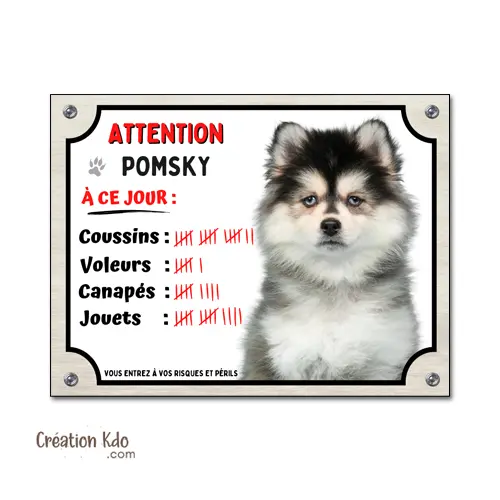 Plaque Pomsky humour à ce jour panneau Attention au chien portail