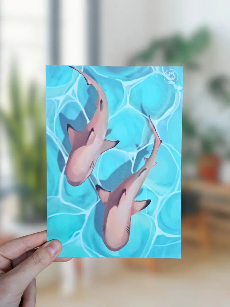 Print A5 Requins à pointes noires