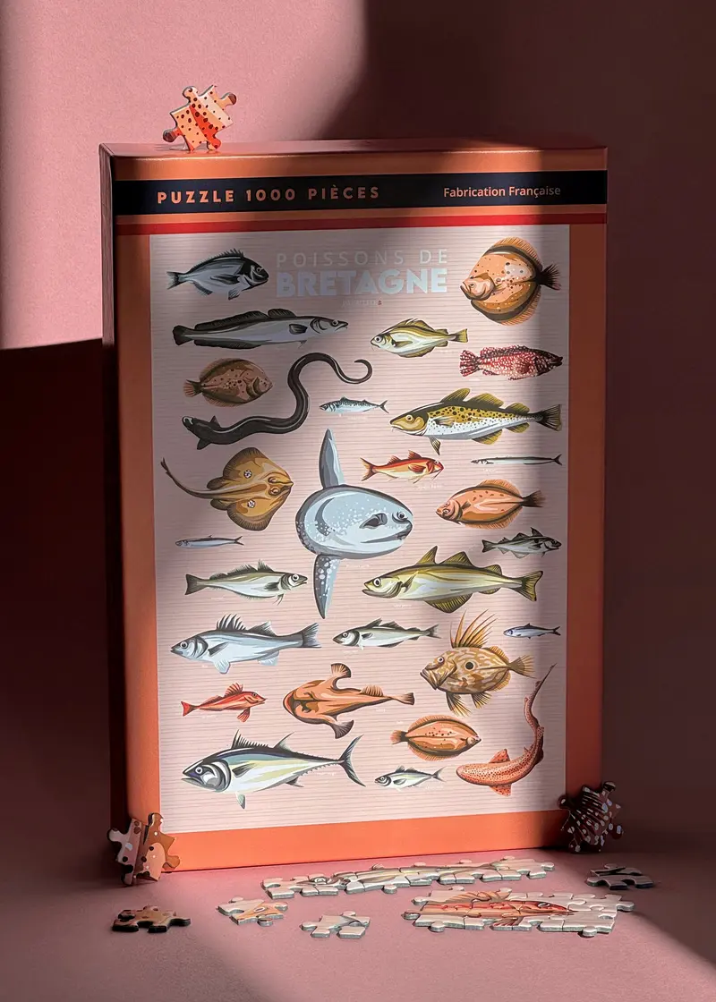Puzzle 1000 pièces - Poissons de Bretagne