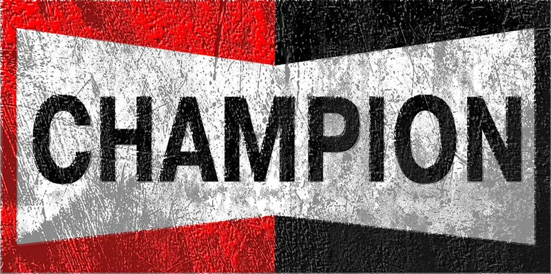 SPARK PLUGS CHAMPION usée CE114