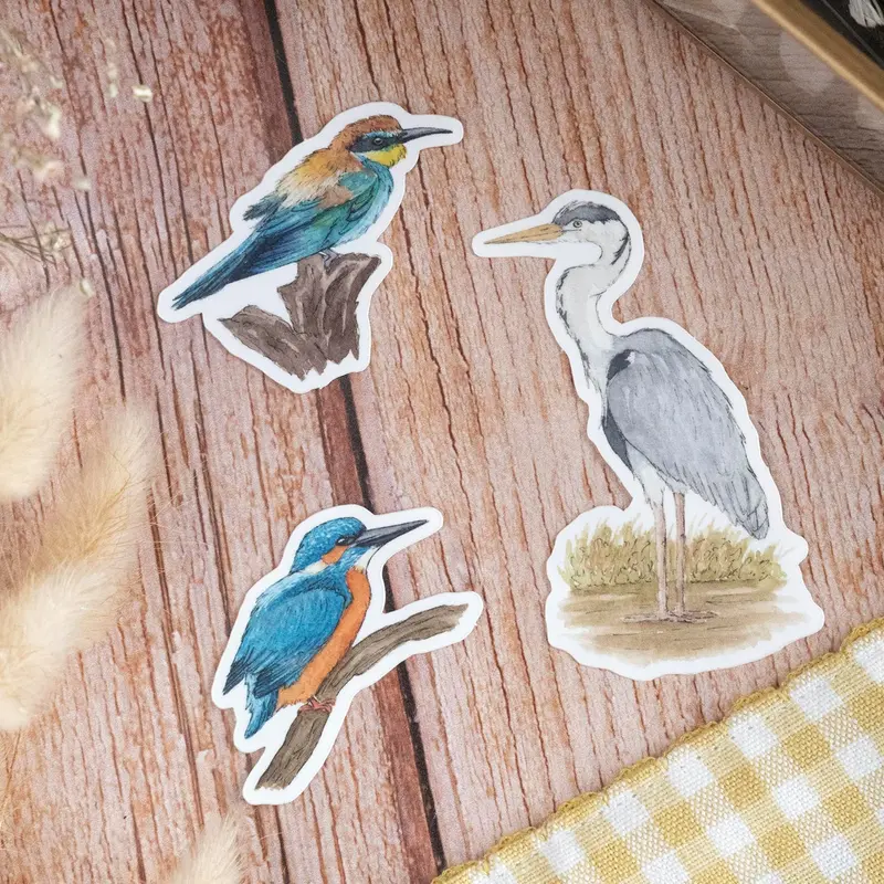 STICKER "Oiseaux des berges" - papeterie
