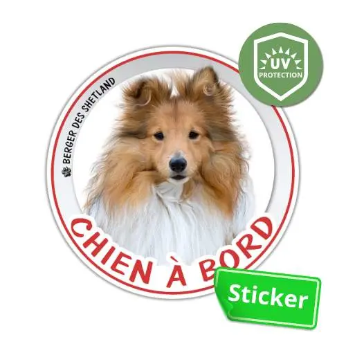Sticker rond Berger des Shetland sable Chien à bord autocollant pour voiture