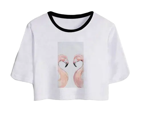 T-shirt Crop Top Flamant Rose Amies