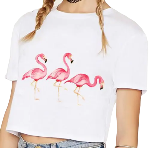 T-shirt Crop Top Flamant Rose Blanc