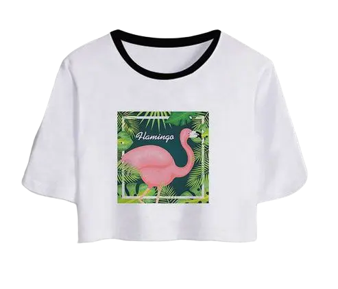 T-shirt Crop Top Flamant Rose Image