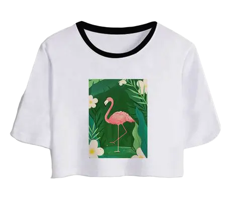 T-shirt Crop Top Flamant Rose Lac