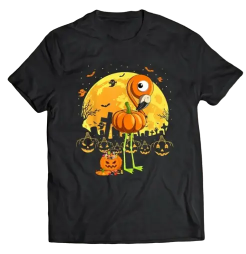 Tee Shirt Flamant Rose Citrouille