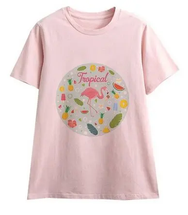 Tee-shirt Flamant Rose Femme Fruits