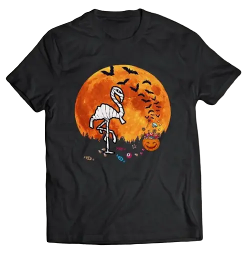 Tee Shirt Flamant Rose Momie