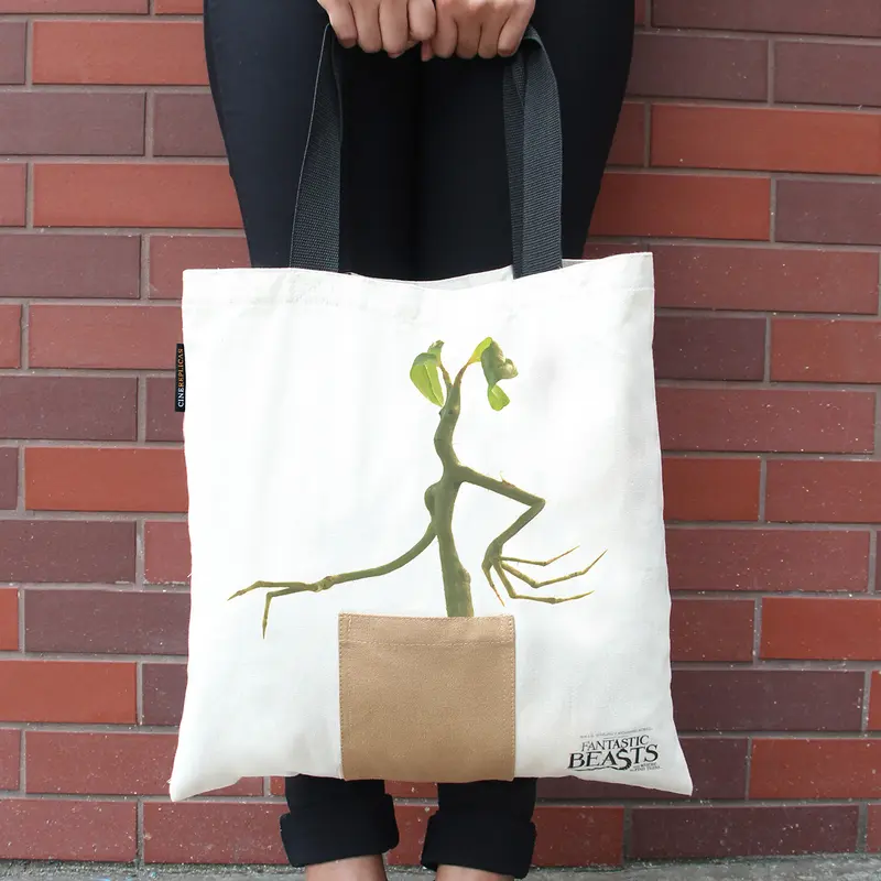 *Tote Bag Pickett le Botruc